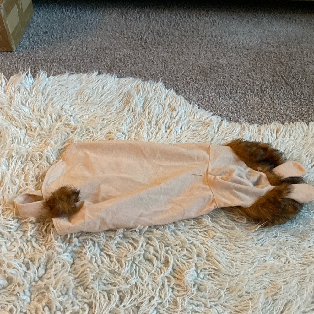 Lion Dog outfit